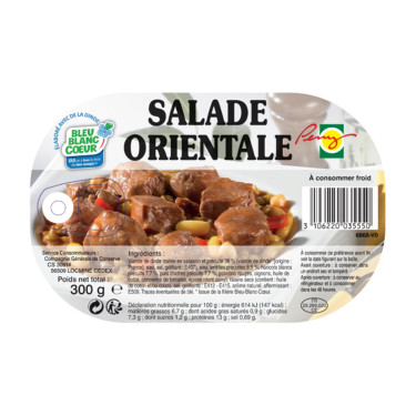 Orientalischer Salat