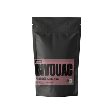 Bio-Porridge mit Heidelbeeren und Erdbeeren